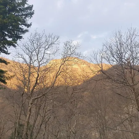 In Montagna Da Emili&gabriel Lizzano In Belvedere