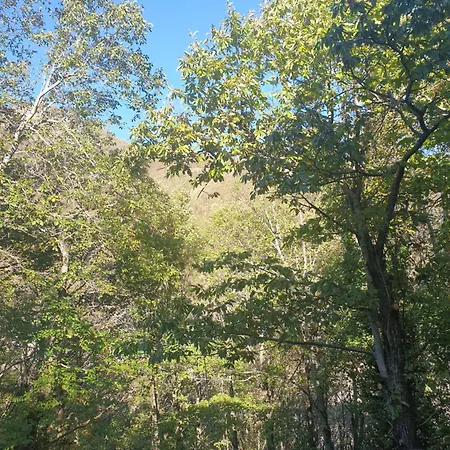 In Montagna Da Emili&gabriel Alojamento de Acomodação e Pequeno-almoço Lizzano In Belvedere