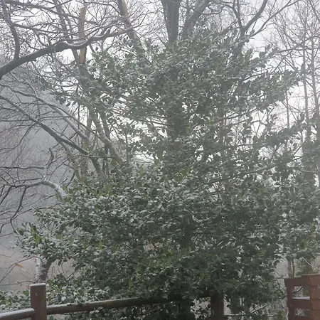 In Montagna Da Emili&gabriel Отель типа 