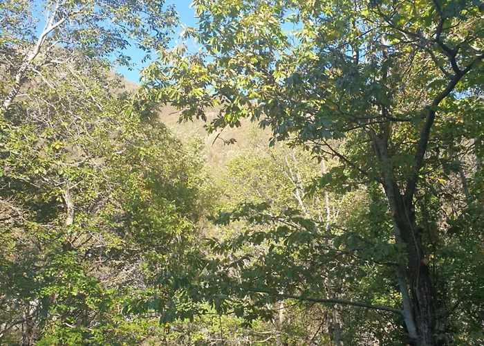 In Montagna Da Emili&gabriel B&B 리자노인벨베데레