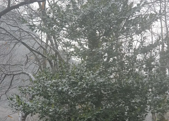 In Montagna Da Emili&gabriel B&B 3*