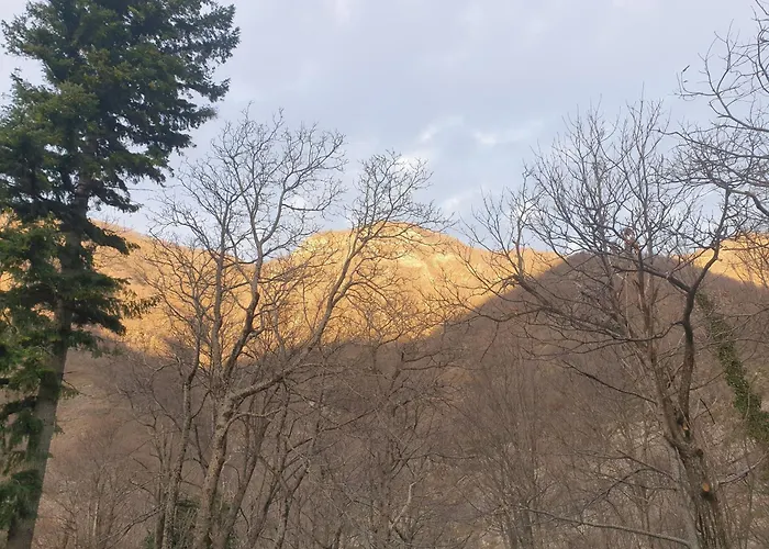 In Montagna Da Emili&gabriel 리자노인벨베데레